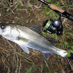 お馴染のポイントにてＨｉｔ”！